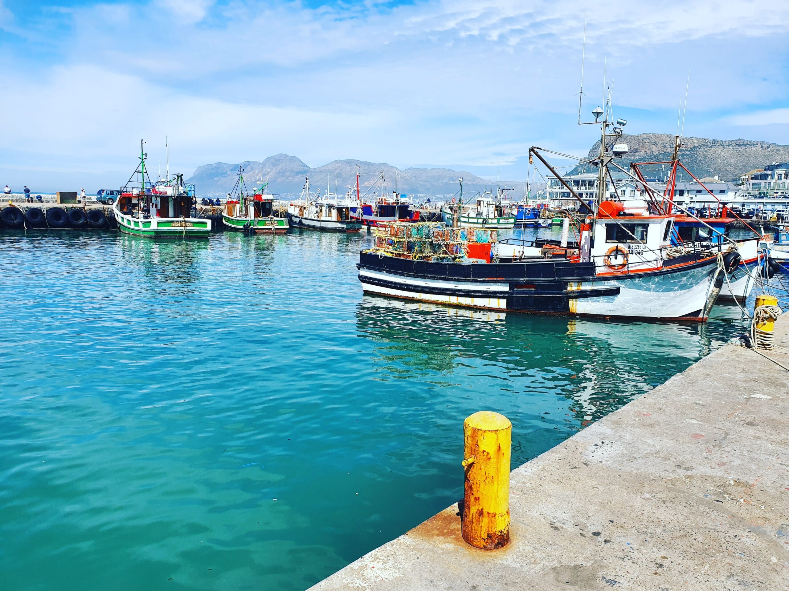 Fishing boats and fresh catch at Kalk Bay Harbour, Cape Town's Deep South