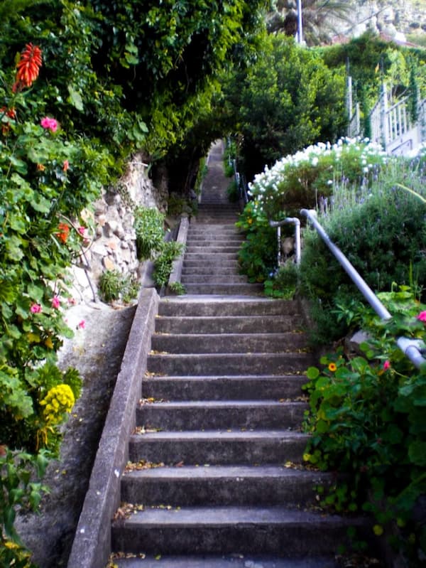 St James stairs and green canopy